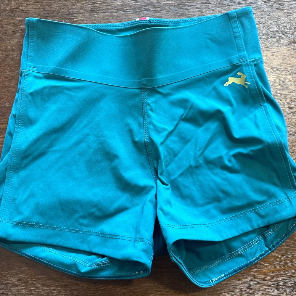 Tracksmith Womens Allston Shorts